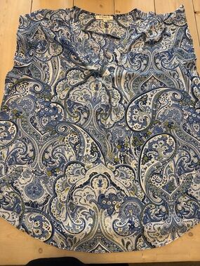 Chaus Blue and White Paisley Print Top-Green size XL v-neck cap ruffle sleeves